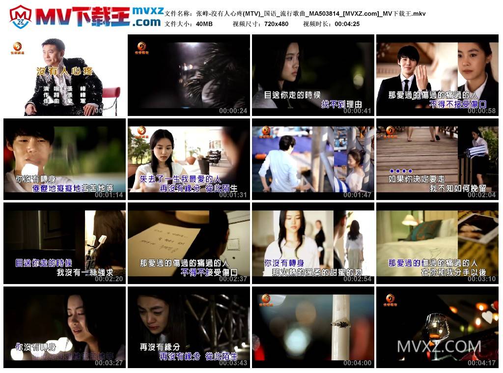 张峰-沒有人心疼(MTV)_国语_流行歌曲_MA503814